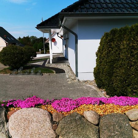 Apartament Sun House Heringsdorf Zewnętrze zdjęcie